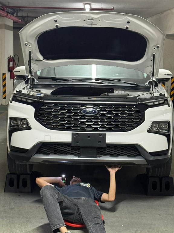 Cars Sitting in Parking: Inspection for Long-Idle Vehicles